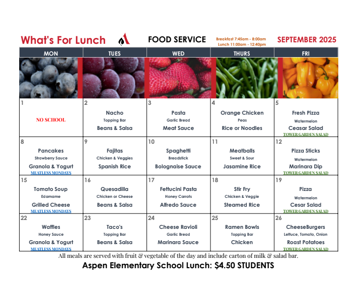 AES Lunch Menu